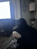 processed/04189f5e-fb7b-415a-af99-4216dfa4af5c/facility/149b2c19-cd3e-425f-919e-8dd58743c3c4