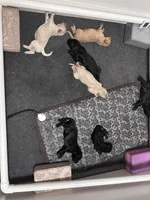 processed/04189f5e-fb7b-415a-af99-4216dfa4af5c/facility/40c2c9cc-e565-4a10-98ca-b260c1e5de5b