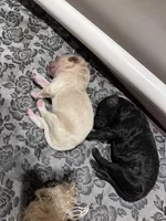 processed/04189f5e-fb7b-415a-af99-4216dfa4af5c/facility/4fad5907-02a4-4858-8266-c6fd4ec1d973