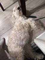 processed/04189f5e-fb7b-415a-af99-4216dfa4af5c/facility/7f5671a9-a778-434d-b74a-935ec0bcd320