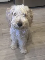 processed/04189f5e-fb7b-415a-af99-4216dfa4af5c/facility/f6809e02-fb0f-4a64-af1d-07ad8c6887e3