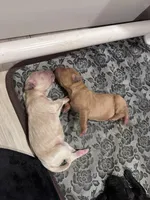 processed/04189f5e-fb7b-415a-af99-4216dfa4af5c/facility/f9e57c6e-343f-4893-8e07-4401f26ceb78