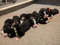 processed/041cec72-f045-458d-a574-f76a8367c341/listing/bf69ca4a-d7ac-4f10-b6e6-3fa536d8c613/2944fd7e-021f-4340-bd0e-59d11e306424