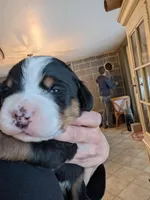 processed/041cec72-f045-458d-a574-f76a8367c341/listing/bf69ca4a-d7ac-4f10-b6e6-3fa536d8c613/a05a091a-12b5-4b5c-bca5-f96f1df88196