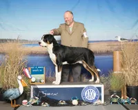 processed/041cec72-f045-458d-a574-f76a8367c341/listing/e3b64706-21af-4dc1-87ba-f8640ced7ff0/54ead1e2-b168-4d98-b858-c209365539b0