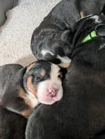 processed/041cec72-f045-458d-a574-f76a8367c341/listing/e3b64706-21af-4dc1-87ba-f8640ced7ff0/a06c119c-0e57-4d7f-aae7-741c1cb99602