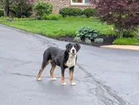 processed/041cec72-f045-458d-a574-f76a8367c341/listing/e3b64706-21af-4dc1-87ba-f8640ced7ff0/b70eee38-4c39-4bd8-977a-e29f3f80420f