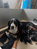 processed/041cec72-f045-458d-a574-f76a8367c341/listing/e3b64706-21af-4dc1-87ba-f8640ced7ff0/e7b47301-715e-4205-837a-4073325a7ec3