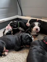 processed/041cec72-f045-458d-a574-f76a8367c341/listing/e3b64706-21af-4dc1-87ba-f8640ced7ff0/fdf3a756-6129-4921-bb2d-553a089634db