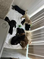 Facility photo