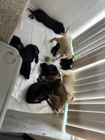 Facility photo