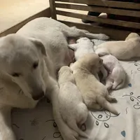 processed/0422587c-d8e1-48e1-9751-61127fbed33d/facility/2d436085-3cca-4f90-a6d3-34168d025ba7