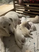 processed/0422587c-d8e1-48e1-9751-61127fbed33d/facility/2d436085-3cca-4f90-a6d3-34168d025ba7