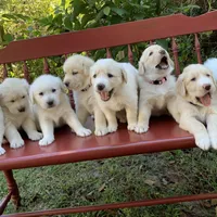 processed/0422587c-d8e1-48e1-9751-61127fbed33d/facility/4d137600-c3e8-4628-bb01-131da484ef88