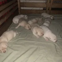 processed/0422587c-d8e1-48e1-9751-61127fbed33d/facility/829fbe43-ee61-40f8-a6b0-fd6178b76a64