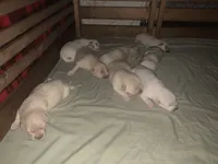 processed/0422587c-d8e1-48e1-9751-61127fbed33d/facility/829fbe43-ee61-40f8-a6b0-fd6178b76a64