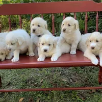 processed/0422587c-d8e1-48e1-9751-61127fbed33d/facility/8a92b509-817e-464b-af3b-e0a96400a38a