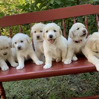 processed/0422587c-d8e1-48e1-9751-61127fbed33d/facility/dcd6f7af-9f4c-4487-b4ec-849d066147a8