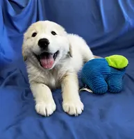 processed/0422587c-d8e1-48e1-9751-61127fbed33d/listing/52f7866c-2988-4bcc-bb78-058e03e33e33/6a2a7771-07d9-4a22-8152-930c32bb23ef