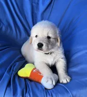 processed/0422587c-d8e1-48e1-9751-61127fbed33d/listing/a6ddefe1-8770-45d3-9078-bcf4c8eb1701/1c304d20-2b4d-484c-8a8f-9e50aa7ab192