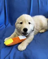 processed/0422587c-d8e1-48e1-9751-61127fbed33d/listing/a6ddefe1-8770-45d3-9078-bcf4c8eb1701/7ed73e56-5fed-4f7b-8758-f616bb3cf444