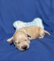 processed/0422587c-d8e1-48e1-9751-61127fbed33d/listing/a6ddefe1-8770-45d3-9078-bcf4c8eb1701/b873eb19-e73a-4047-87d1-4f1b83f10b79