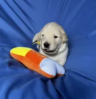 processed/0422587c-d8e1-48e1-9751-61127fbed33d/listing/a6ddefe1-8770-45d3-9078-bcf4c8eb1701/c11074c0-ee0c-4530-9b35-ed1b3fe69f85