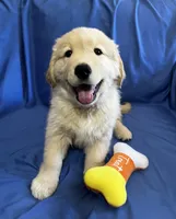 processed/0422587c-d8e1-48e1-9751-61127fbed33d/listing/a6ddefe1-8770-45d3-9078-bcf4c8eb1701/cec520a9-ccc8-4684-bfc5-2e8ae0c69f69