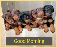 processed/042350db-dcc4-4612-94b8-6eda742234e4/facility/a532ca4b-a7a9-4410-97ed-fe9df0479adb