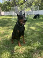 processed/042350db-dcc4-4612-94b8-6eda742234e4/facility/c7c4bdba-f512-438c-855c-a4f76d59394d