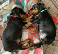 processed/042350db-dcc4-4612-94b8-6eda742234e4/facility/e3feb01e-2b1d-499f-b3a7-4413ce0db5f4