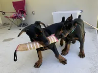 processed/042350db-dcc4-4612-94b8-6eda742234e4/facility/f59039f0-c471-4fe3-9aae-ac212a6bb992