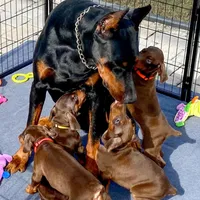 processed/042350db-dcc4-4612-94b8-6eda742234e4/facility/f948f8ae-f34e-4bde-ad58-0eec1a61ad4b