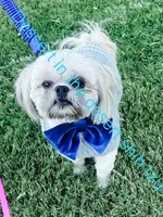 processed/04367183-6a24-429f-b341-a1363486aa32/facility/785000c8-a490-4eda-89a4-6c95efa932f8