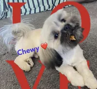 processed/04367183-6a24-429f-b341-a1363486aa32/facility/e98b6b2c-471d-45af-8505-e8d644f44290