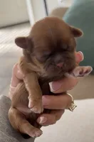 processed/04367183-6a24-429f-b341-a1363486aa32/listing/39b829ca-8f8b-4c07-b05d-cde1d543e978/ea5c3f73-8490-4417-a1da-58f9405023b9