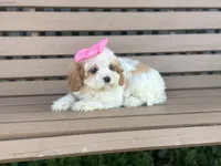 processed/043f7854-c597-4088-9669-6bfca4d5bfe8/facility/5bac4204-d9d2-47f3-ac22-c055c1db1027