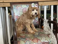 processed/043f7854-c597-4088-9669-6bfca4d5bfe8/listing/b27b3734-9f6b-401d-afae-ccd363560ed0/11aaf1e7-2d54-48ed-a22f-e867ecae3501