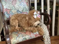 processed/043f7854-c597-4088-9669-6bfca4d5bfe8/listing/b27b3734-9f6b-401d-afae-ccd363560ed0/1b5d1a81-d478-4c19-ad6f-750418912548