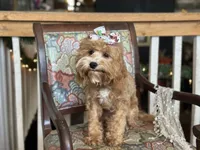 processed/043f7854-c597-4088-9669-6bfca4d5bfe8/listing/b27b3734-9f6b-401d-afae-ccd363560ed0/6b143ede-b090-411c-ac91-f3ef932ae091