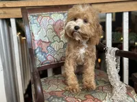 processed/043f7854-c597-4088-9669-6bfca4d5bfe8/listing/b27b3734-9f6b-401d-afae-ccd363560ed0/88298c29-56a3-4507-928f-60d0c17495b2