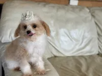 processed/043f7854-c597-4088-9669-6bfca4d5bfe8/listing/d48ca1ff-6177-4b59-9c1b-6590d5020b8a/093e0132-1c61-4c8b-b513-c8ef831443a5