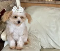 processed/043f7854-c597-4088-9669-6bfca4d5bfe8/listing/d48ca1ff-6177-4b59-9c1b-6590d5020b8a/45e35b7b-e590-4587-b0da-383eda40f82a