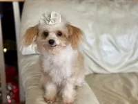 processed/043f7854-c597-4088-9669-6bfca4d5bfe8/listing/d48ca1ff-6177-4b59-9c1b-6590d5020b8a/83329223-eeb9-4215-80e6-5684a3f0320c