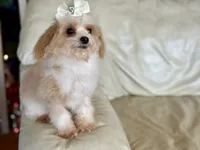 processed/043f7854-c597-4088-9669-6bfca4d5bfe8/listing/d48ca1ff-6177-4b59-9c1b-6590d5020b8a/e56efe00-3269-4a82-9eb3-008d90322c93