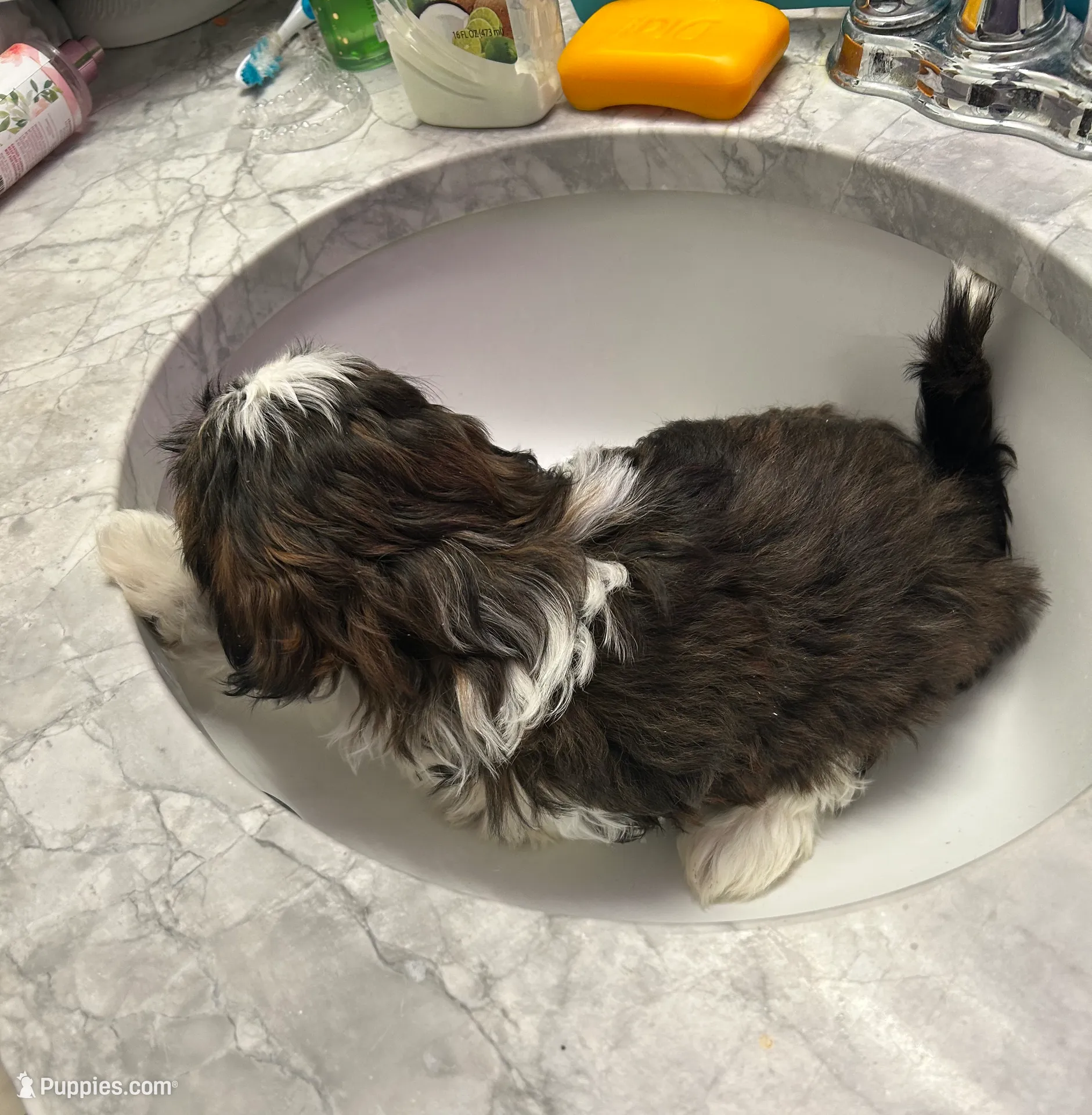 processed/044051c6-b77f-4b6f-b0bf-28759459f537/listing/28913b12-af29-4780-98b4-34a3cb881d23/2d643734-44ab-4515-a617-07d30e885051