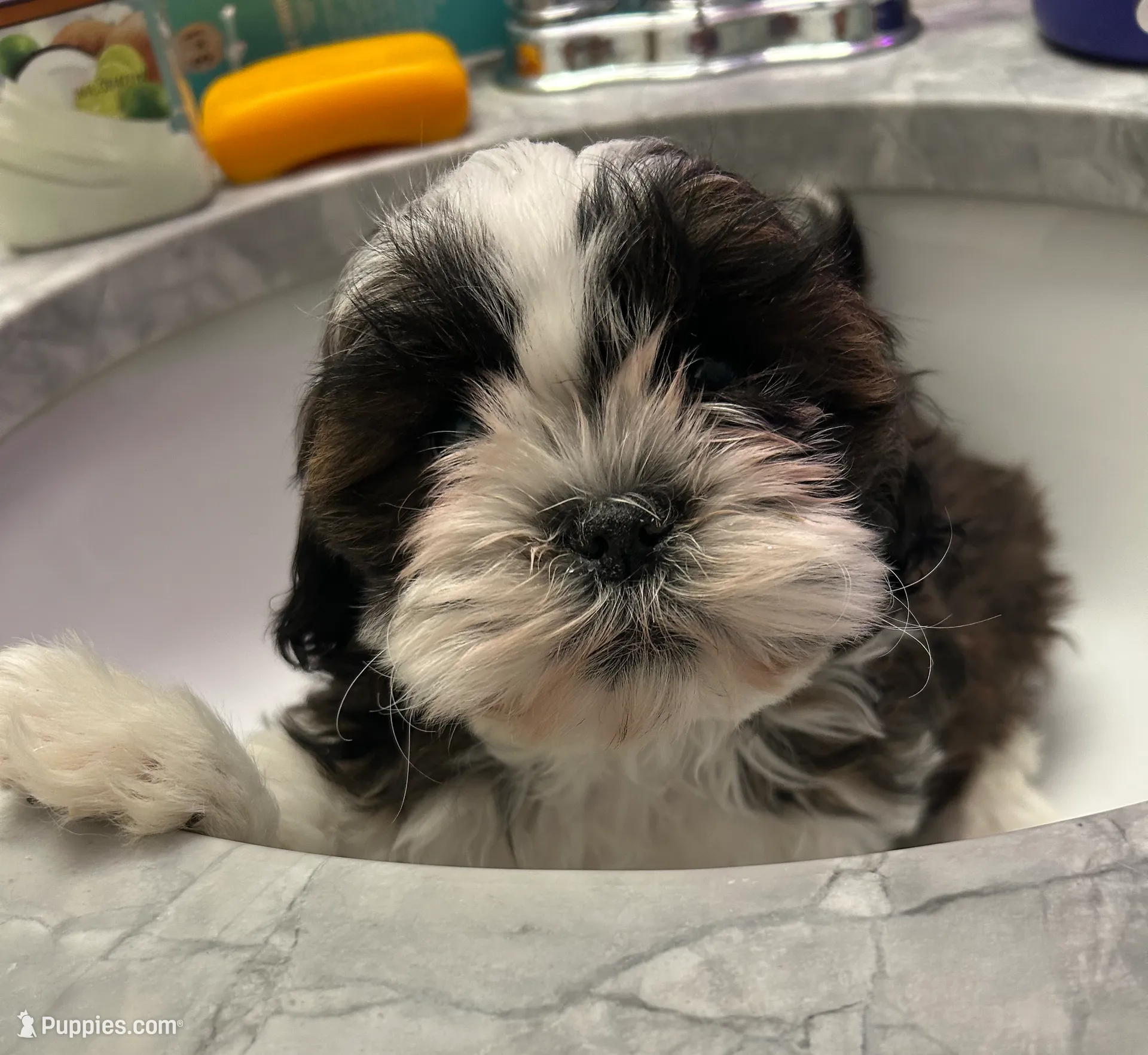 processed/044051c6-b77f-4b6f-b0bf-28759459f537/listing/28913b12-af29-4780-98b4-34a3cb881d23/7728dc9c-62e1-4cff-8d78-079f52deeb09