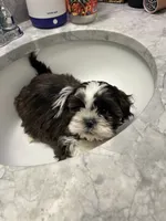 processed/044051c6-b77f-4b6f-b0bf-28759459f537/listing/28913b12-af29-4780-98b4-34a3cb881d23/bb5d2502-b41f-4dd8-8b52-bda9ca6ac947