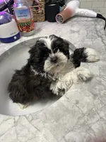 processed/044051c6-b77f-4b6f-b0bf-28759459f537/listing/3f3a0f4b-c47b-4503-a7c2-b45059f12b0a/c85d9322-9a42-41f8-aa8a-1a5adf69f8d4