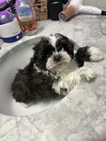 processed/044051c6-b77f-4b6f-b0bf-28759459f537/listing/3f3a0f4b-c47b-4503-a7c2-b45059f12b0a/d1974235-cafe-4560-ada8-4a180142d928